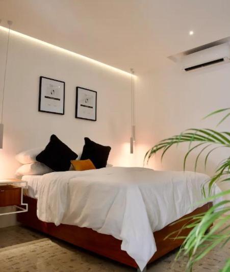 فندق Casa Elda ميريدا المظهر الخارجي الصورة